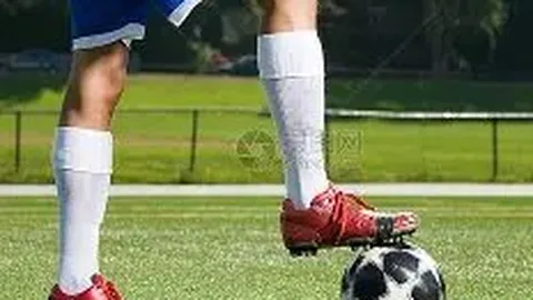 MG电子 产品 001031 gp7