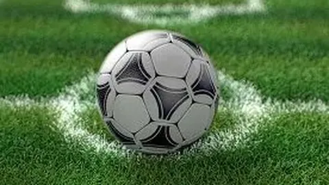 “携手打造绿色生态防线，谱写美丽中国新里程——高质量发展调研行探析生态文明实践”